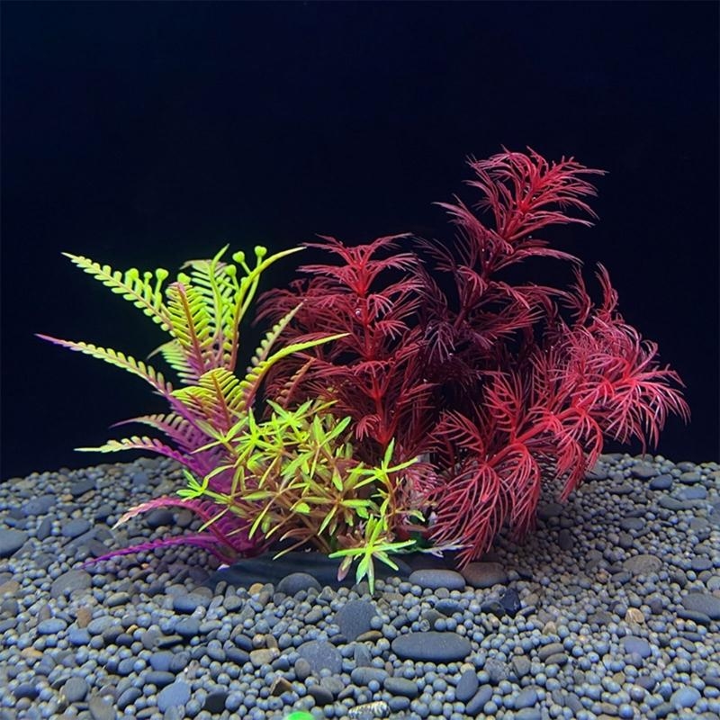 Planted Aquarium For Sale - Artificial Aquarium Decoration Plant Fish Decoration