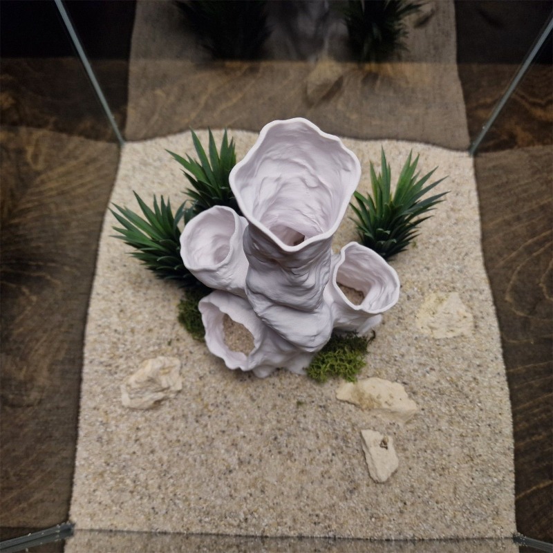 Planted Aquarium For Sale - Hot Sale 3D Printed Coral Tunnel