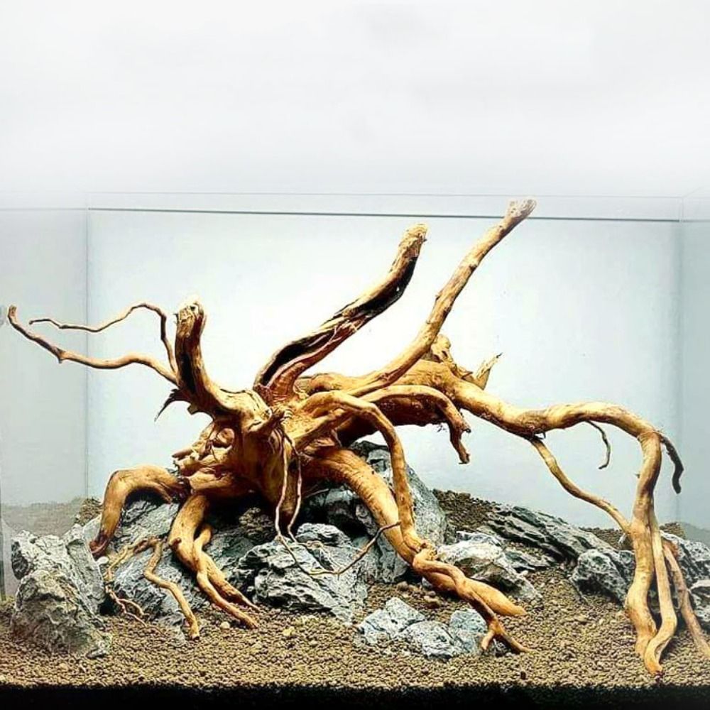 Planted Aquarium Media - Natural Tree Trunk Aquarium Decoration Wood