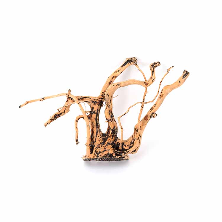 Planted Aquarium For Sale - Wholesale Hot Sale Natural Decorations Fish