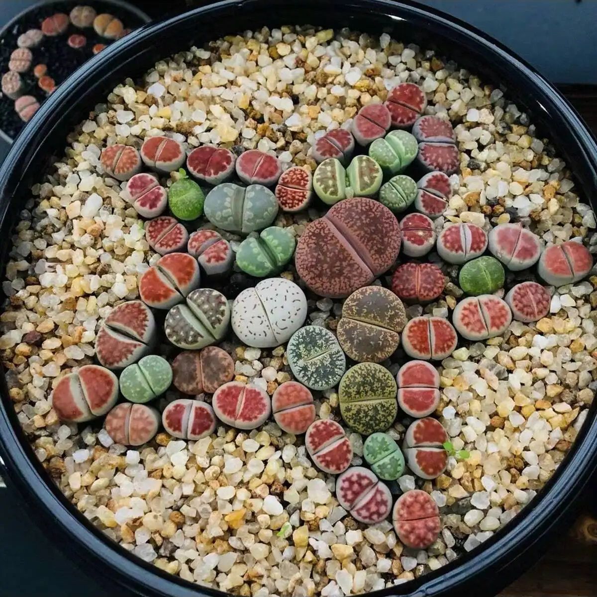 1pc-250g Natural Crystals Grav - огляд і ціна Planted Aquarium With Gravel