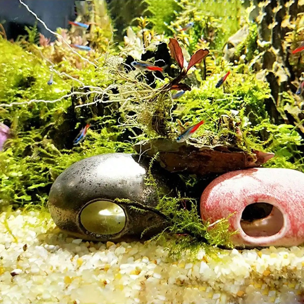 1pc-250g Natural Crystals Grav - огляд і ціна Planted Aquarium With Gravel