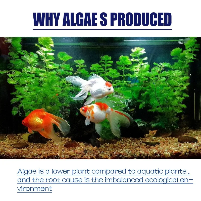50g High Efficiency Algaecide  - огляд і ціна Aquarium Plant Fertilizer