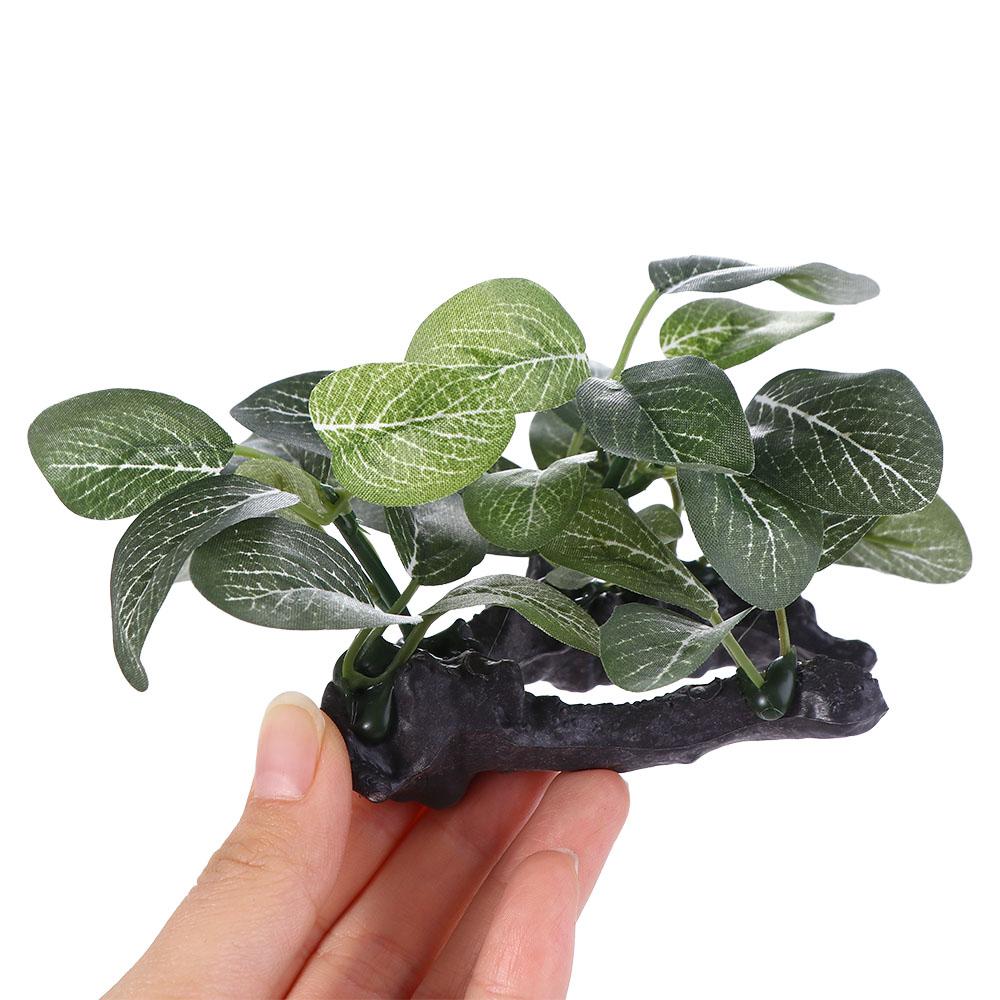 Creative Silk Green Simulated  - огляд і ціна Planted Aquarium Jar