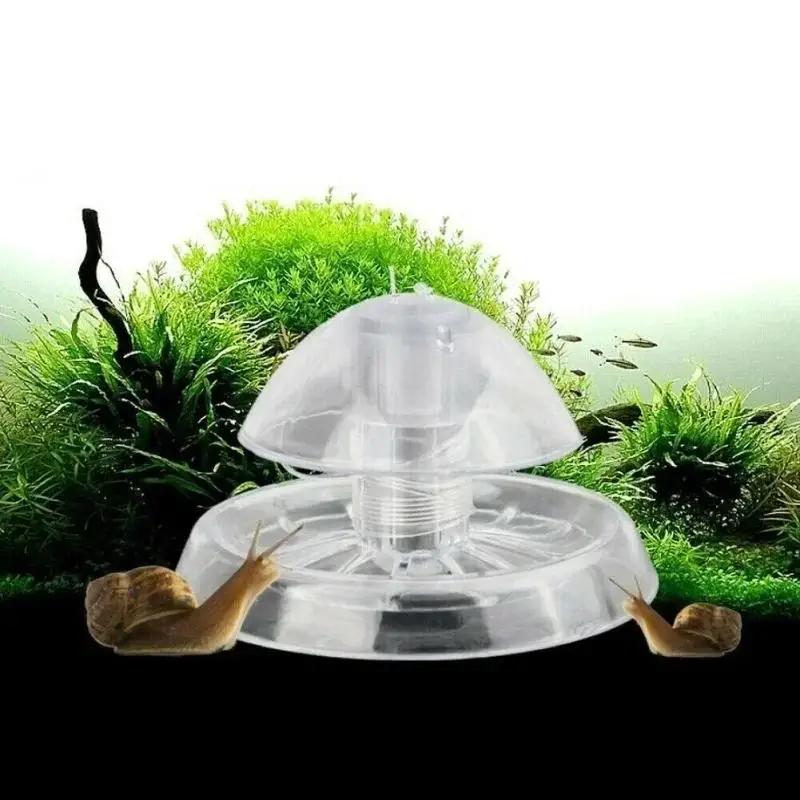 2026 New 6/8CM Clear Plastic S - огляд і ціна Planted Aquarium Supplies