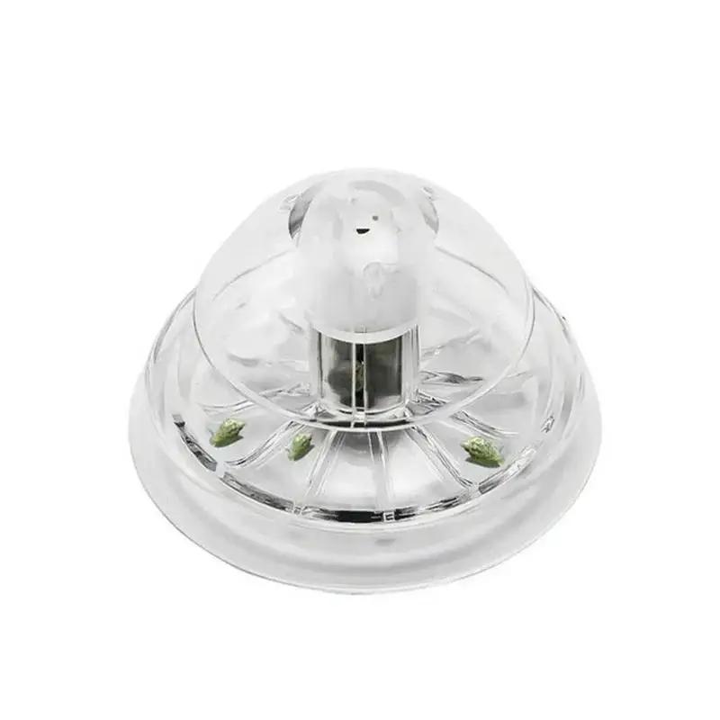 2026 New 6/8CM Clear Plastic S - огляд і ціна Planted Aquarium Supplies