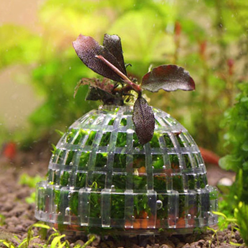 Hot Sale Aquatic Pet Supplies  - огляд і ціна Planted Aquarium For Sale