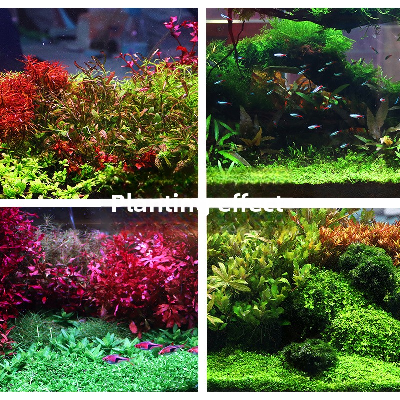 SYSENCIAGA Planted Aquarium Su - огляд і ціна Aquarium Plant Fertilizer