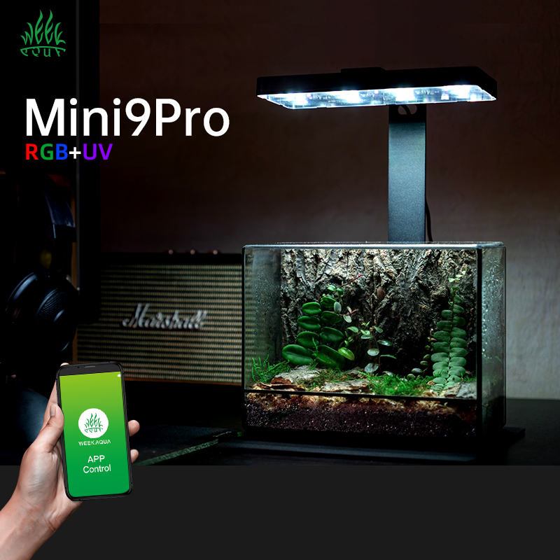 Hot Sale Mini9pro Nano Terrari - огляд і ціна Planted Aquarium For Sale