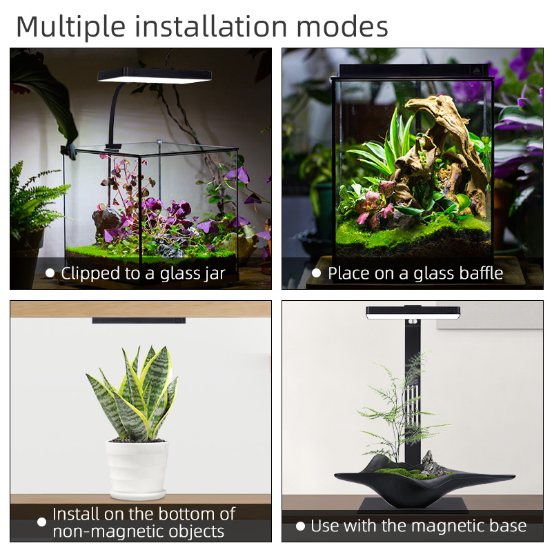 Hot Sale Mini9pro Nano Terrari - огляд і ціна Planted Aquarium For Sale