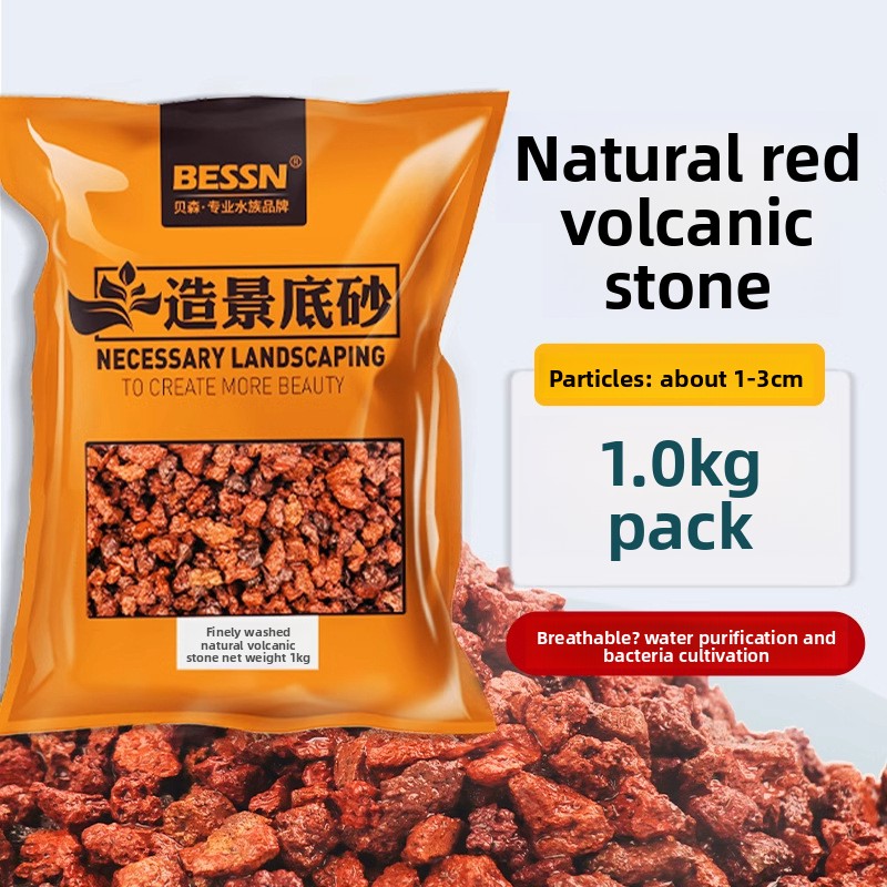 BESSN Volcanic Rock Aquarium S - огляд і ціна Planted Aquarium With Gravel