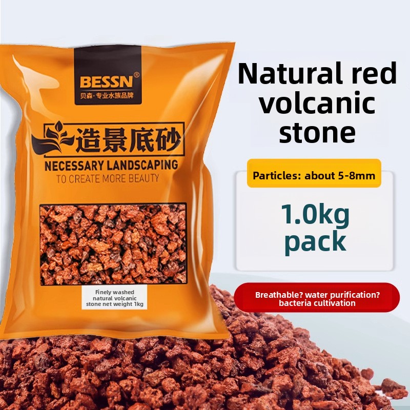 BESSN Volcanic Rock Aquarium S - огляд і ціна Planted Aquarium With Gravel