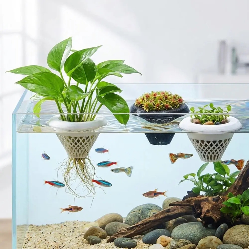 Floating Aquarium Plant Pot, 3 - огляд і ціна Planted Aquarium Jar
