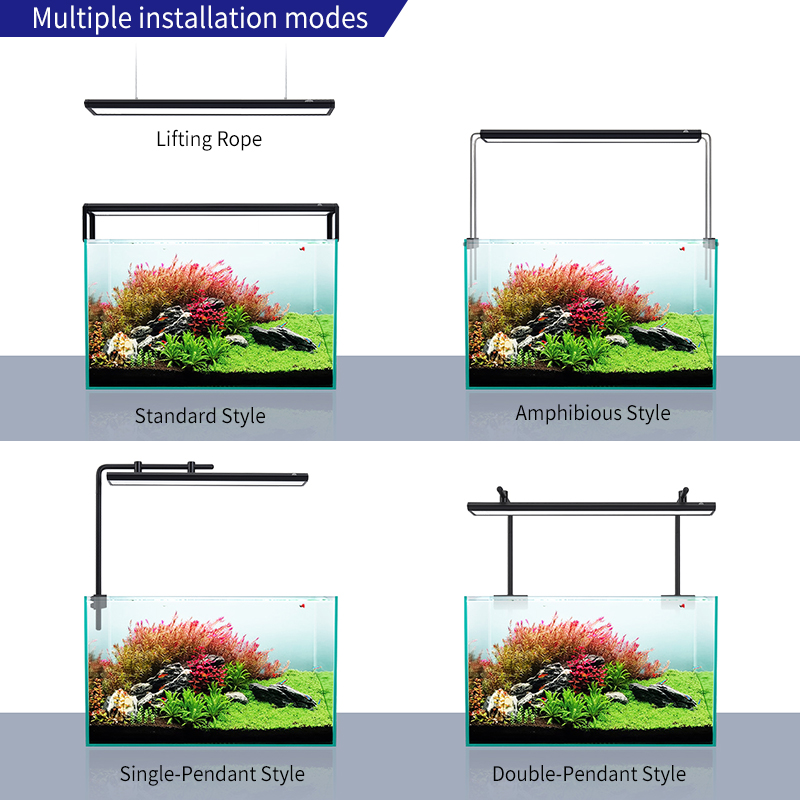 ZXY Hot Sale WEEKAQUA V400 WRG - огляд і ціна Planted Aquarium For Sale