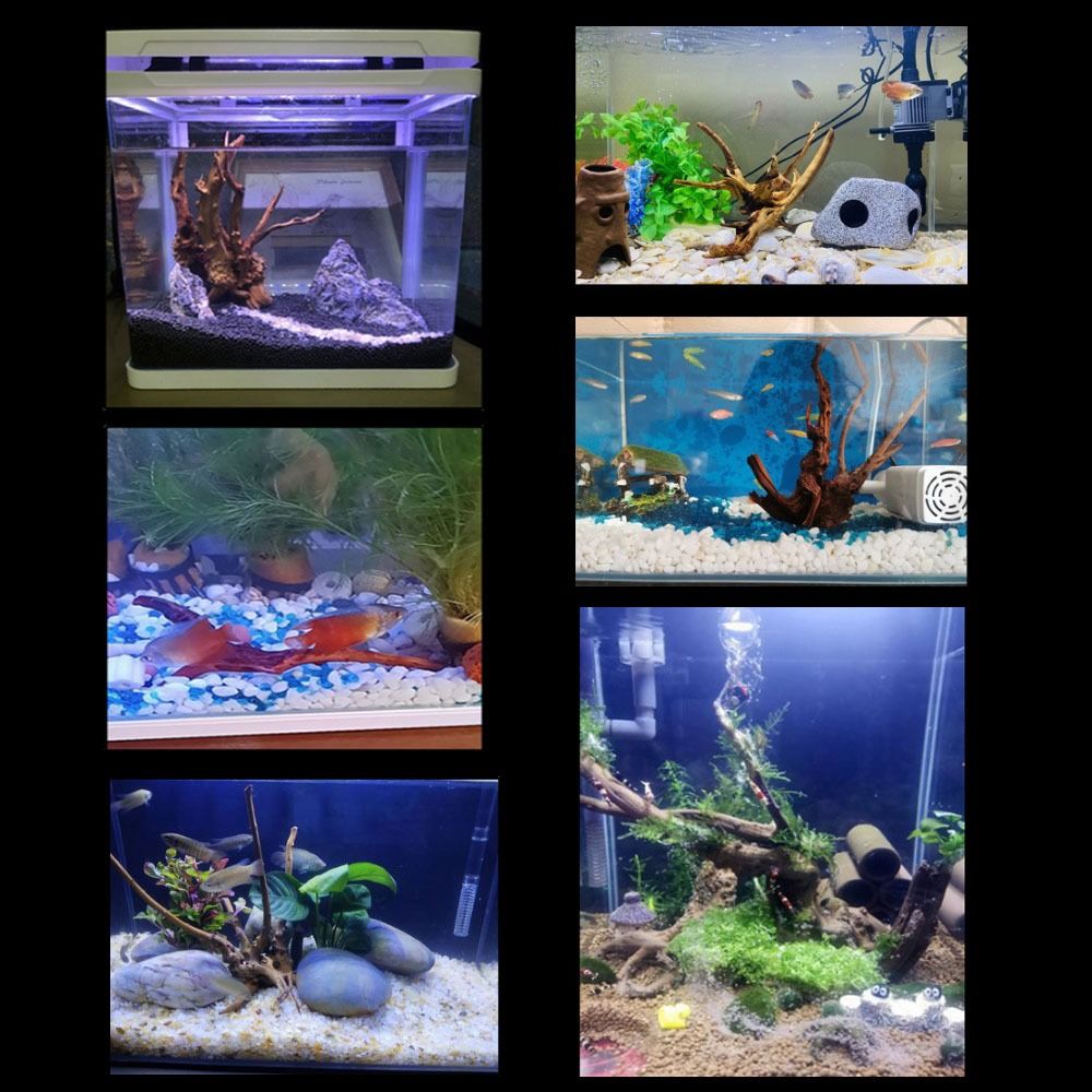 Natural Tree Trunk Aquarium De - огляд і ціна Planted Aquarium Media