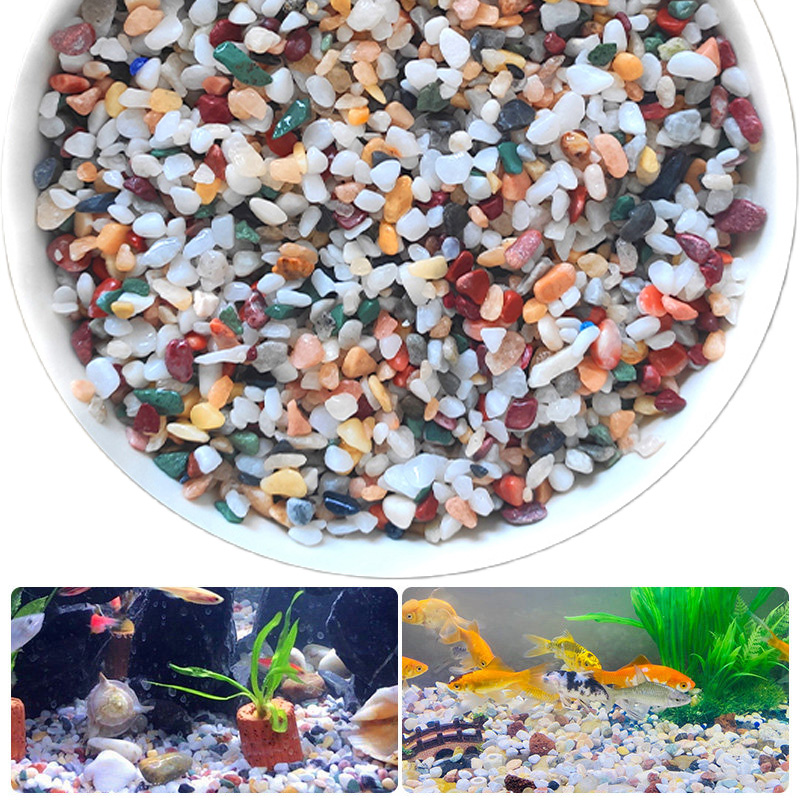 Natural Gravel Stone 200~1000g - огляд і ціна Planted Aquarium With Gravel