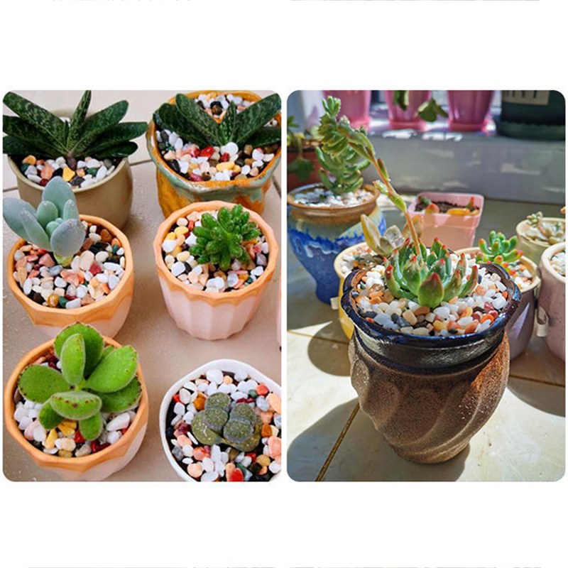 Natural Gravel Stone 200~1000g - огляд і ціна Planted Aquarium With Gravel