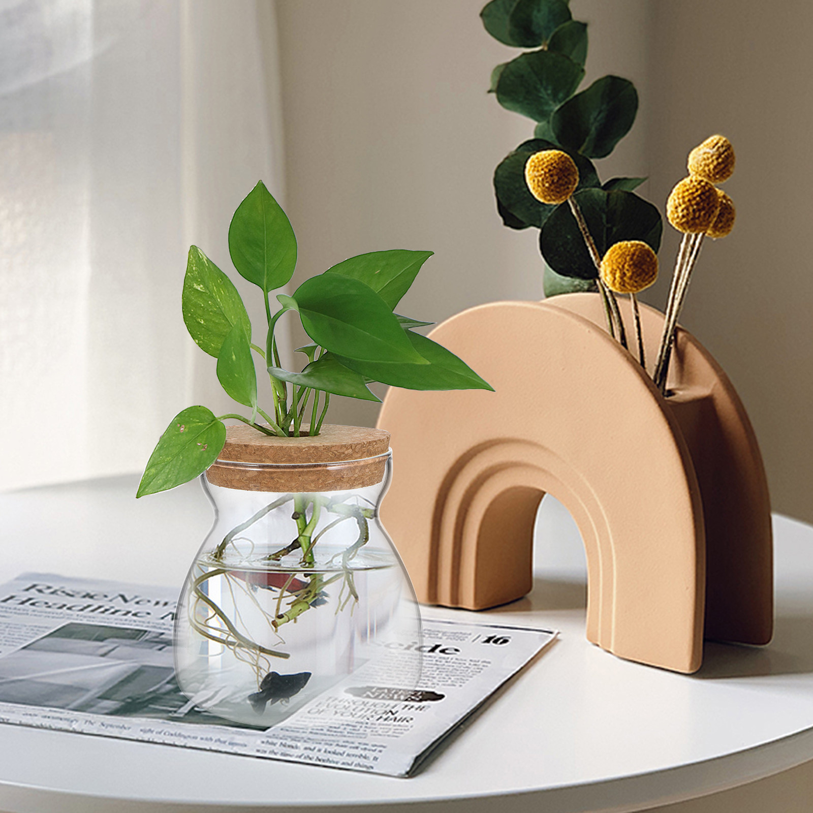 Terrarium Jar Glass Terrarium  - огляд і ціна Planted Aquarium Jar