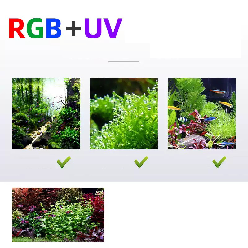 Led Lighting 60cm 80cm 90cm RG - огляд і ціна Planted Aquarium For Sale