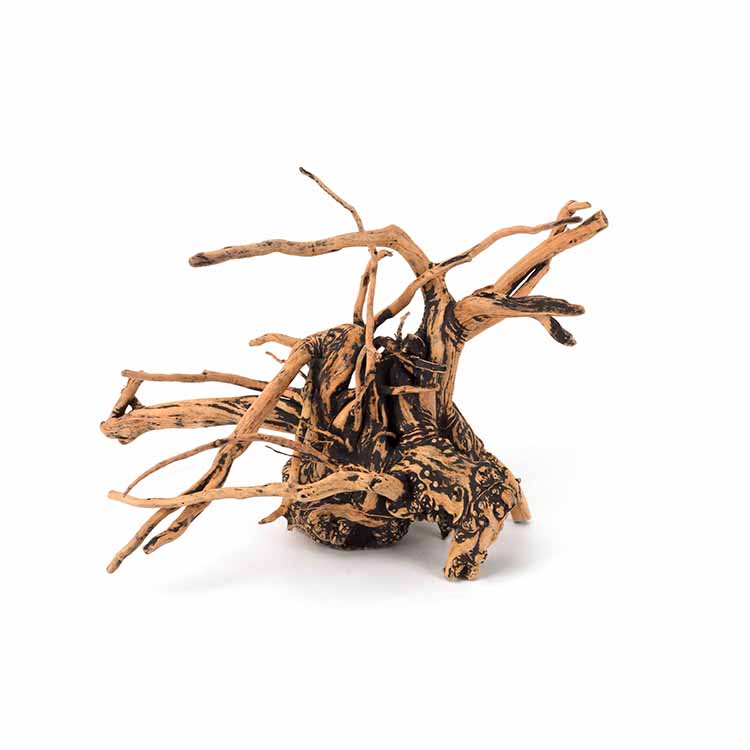 Wholesale Hot Sale Natural Dec - огляд і ціна Planted Aquarium For Sale