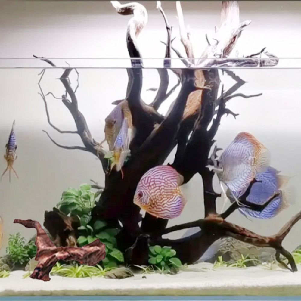 Creative Irregular Shape Coral - огляд і ціна Planted Aquarium Media