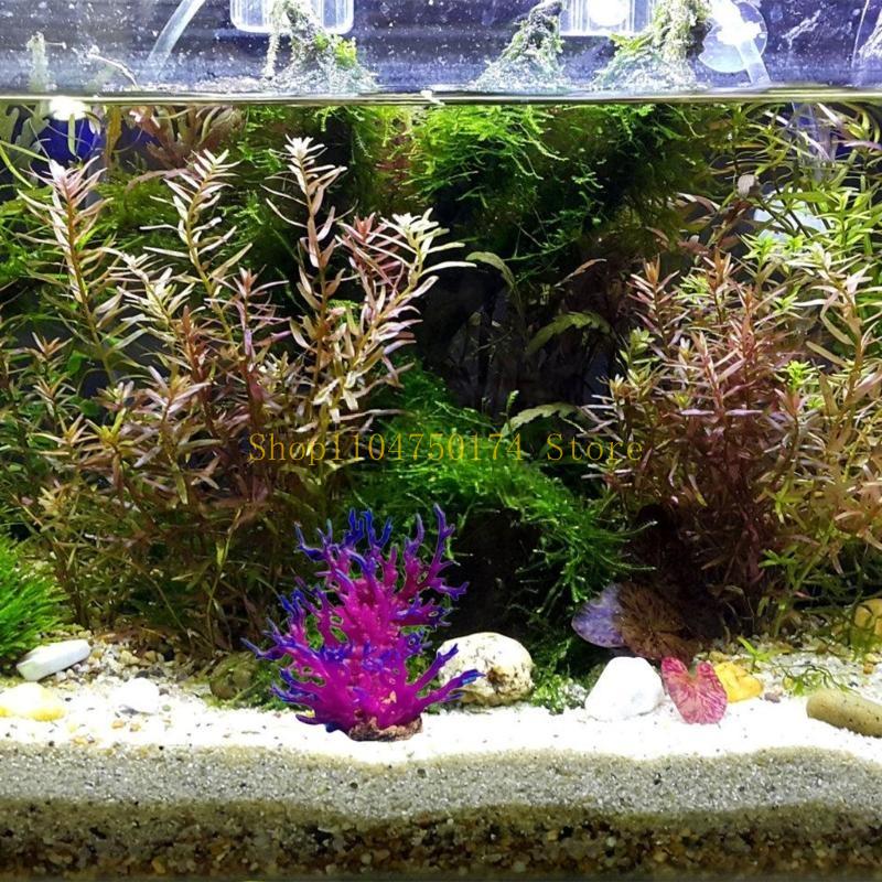 Artificial Water Plant Aquariu - огляд і ціна Planted Aquarium For Sale