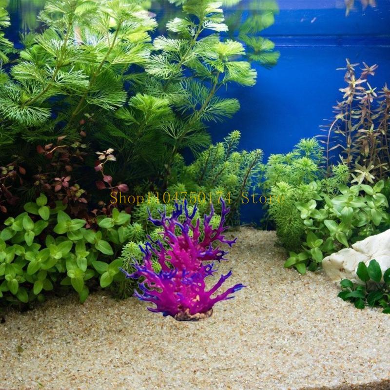 Artificial Water Plant Aquariu - огляд і ціна Planted Aquarium For Sale