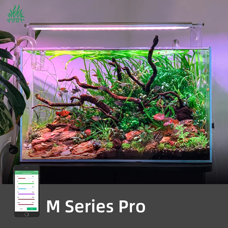ZXY Hot Sales WEEK AQUA M1200P - огляд і ціна Planted Aquarium For Sale
