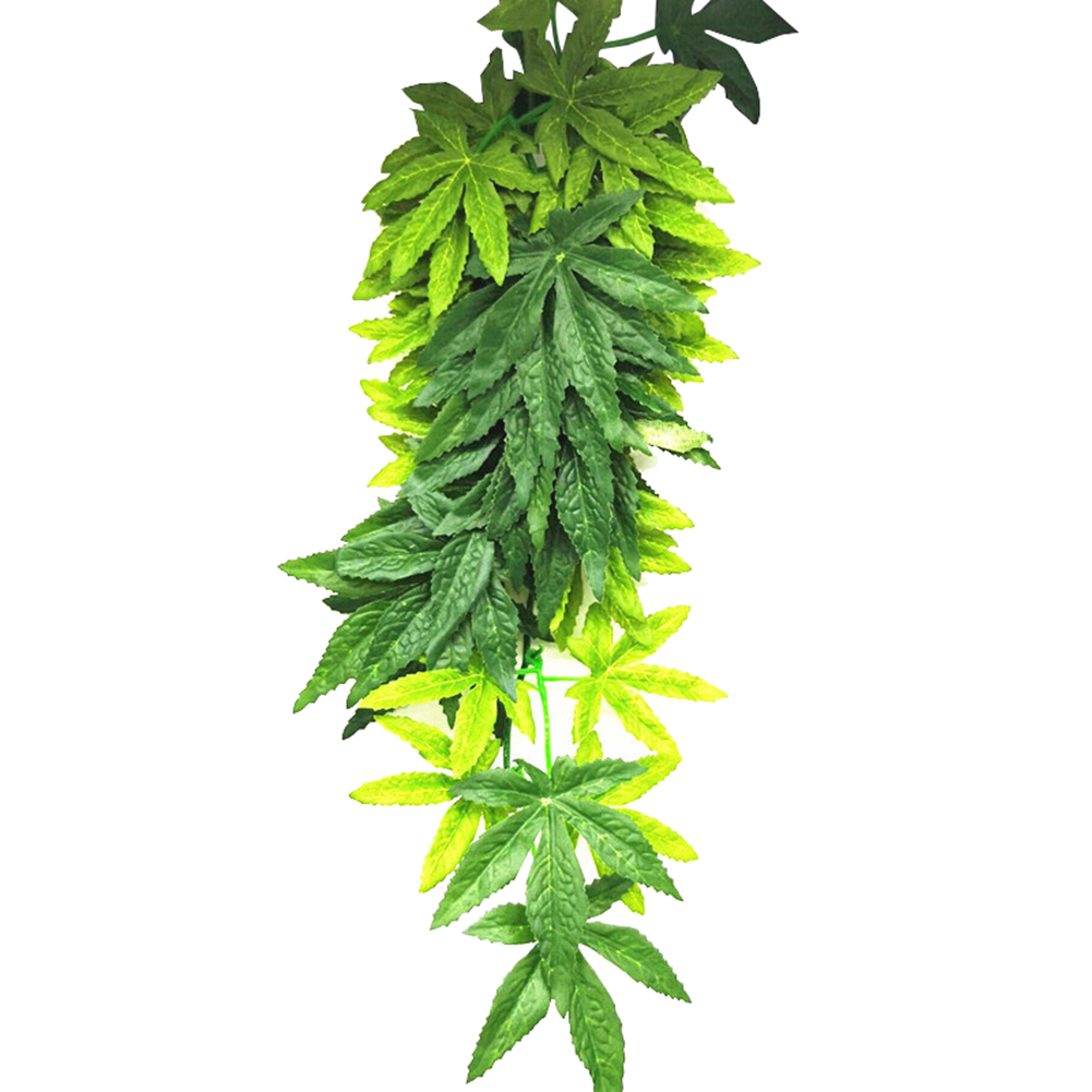 HOT SALE 30/40/50CM Aquarium R - огляд і ціна Planted Aquarium For Sale
