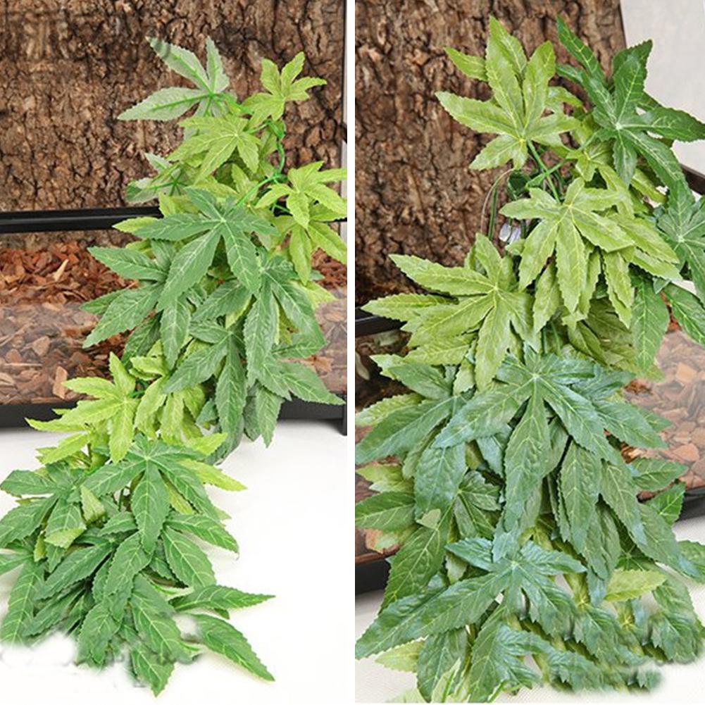 HOT SALE 30/40/50CM Aquarium R - огляд і ціна Planted Aquarium For Sale
